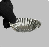 کنگره بیضی