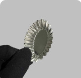 کنگره بیضی