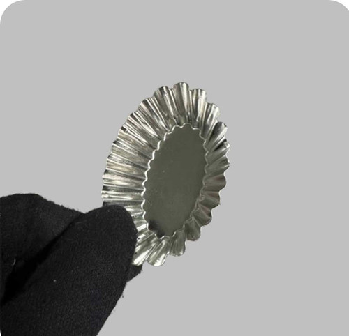 کنگره بیضی
